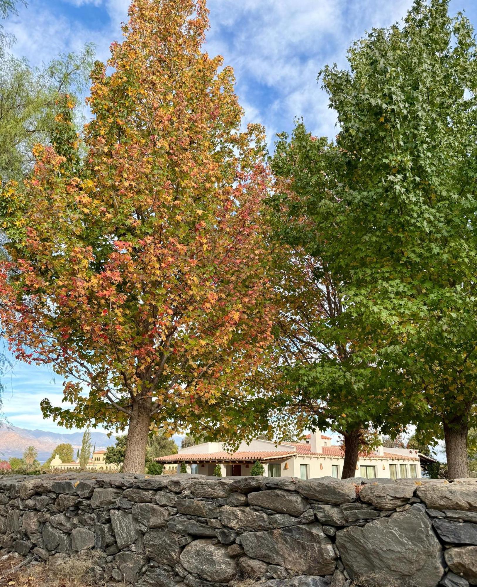 El Recreo Cafayate